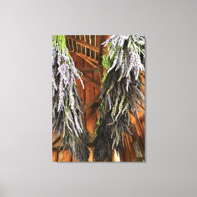 Lavender Hanging i Barn Canvastryck (Framsida)