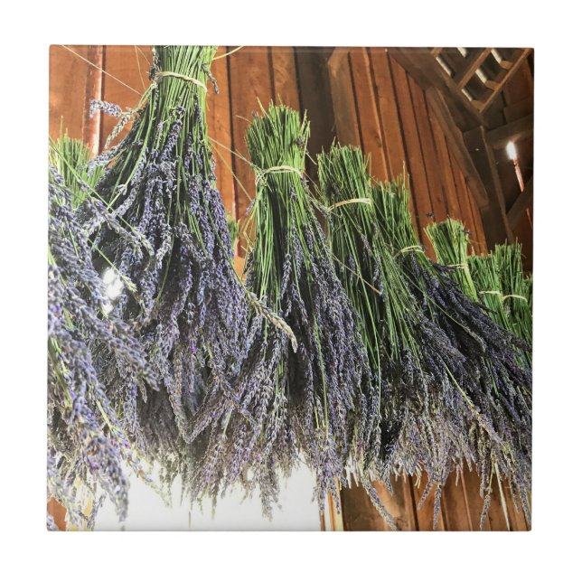Lavender Hanging i Barn Kakelplatta (Framsidan)