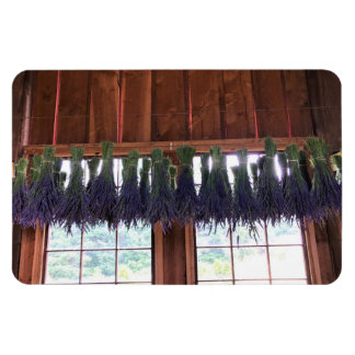 Lavender Hanging i Barn Magnet
