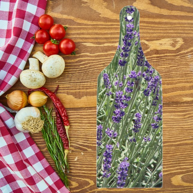 Lavender Herb Flowers Blommigt (In Situ)