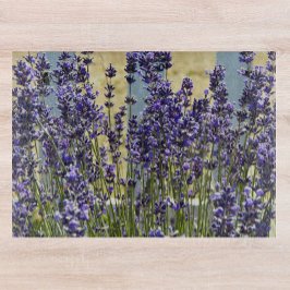 Lavender Herb Garden Blommigt