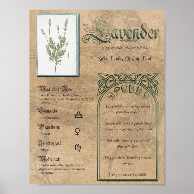 Lavender Herbal Bok i Shadows Pagan Wiccan Poster (Framsidan)