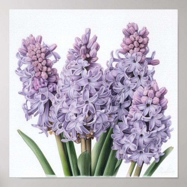 Lavender Hyacint Flower Art Print Poster (Framsidan)