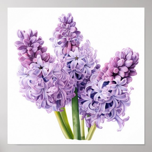 Lavender Hyacint Flower Art Print Poster (Framsidan)