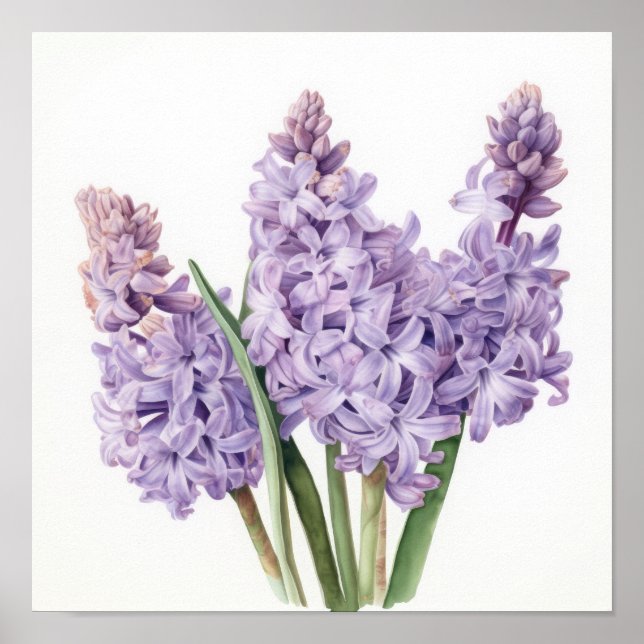 Lavender Hyacint Flower Art Print Poster (Framsidan)