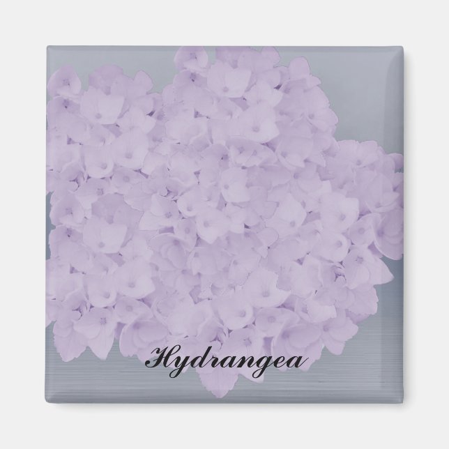 Lavender Hydrangea Magnet (Framsidan)