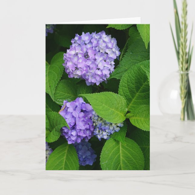Lavender Hydrangea Tack Kort (Framsida)