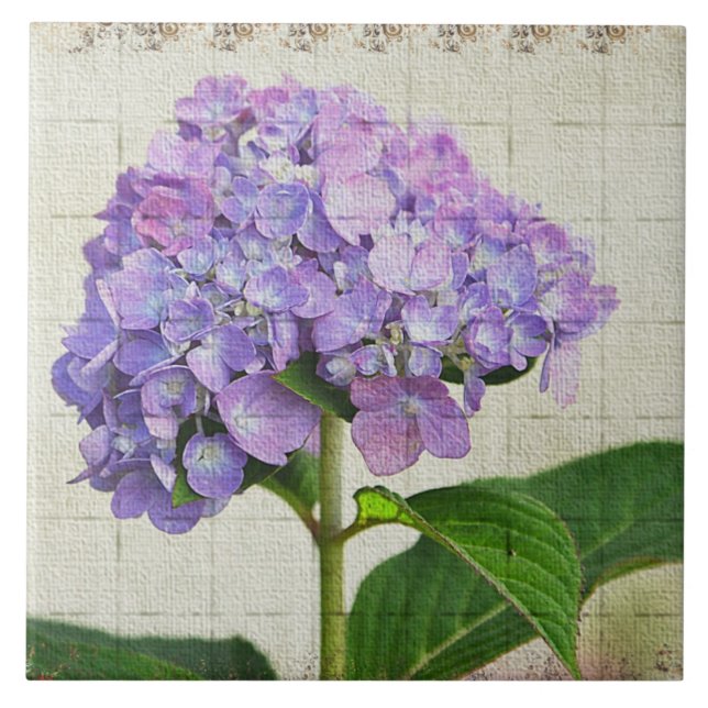 Lavender Hydrangea Tile Kakelplatta (Framsidan)