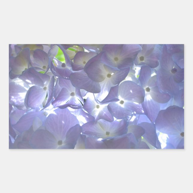 Lavender Hydrangeas Rektangulärt Klistermärke (Framsida)