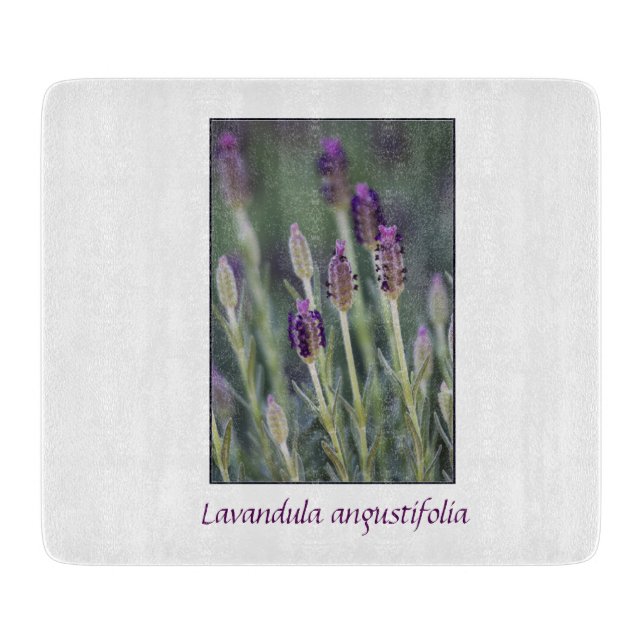 Lavender i Bloom (Framsidan)