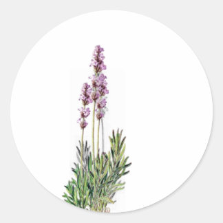Lavender i Bloom Card/brev-klistermärken Runt Klistermärke