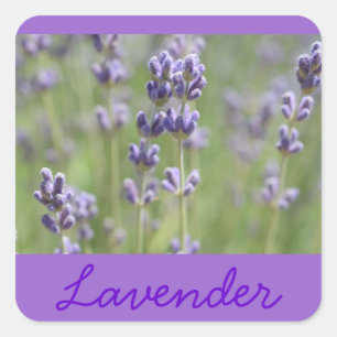 Lavender Inspired Stickers Fyrkantigt Klistermärke