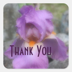 Lavender Iris Flower Tack Sticker Fyrkantigt Klistermärke