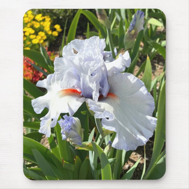 Lavender Iris Mouse Pad Musmatta (Framsidan)