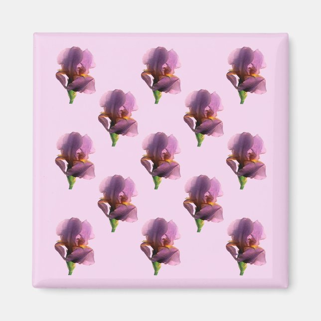 Lavender Irises..... Magnet (Framsidan)