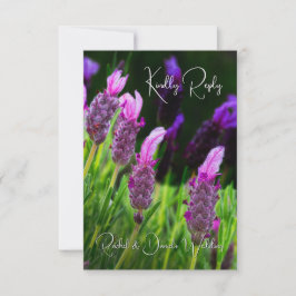 Lavender, Kärlek & Devotion, Bröllop, OSA Tack Kort