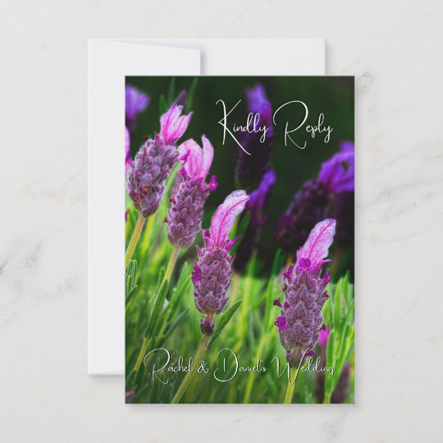 Lavender, Kärlek & Devotion, Bröllop, OSA Tack Kort (Framsida)
