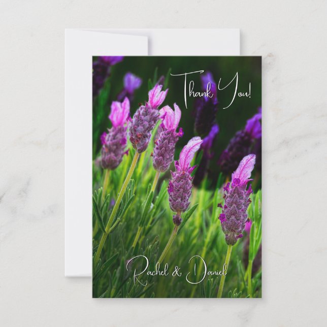 Lavender, Kärlek & Devotion, Bröllop Tack Kort (Framsida)