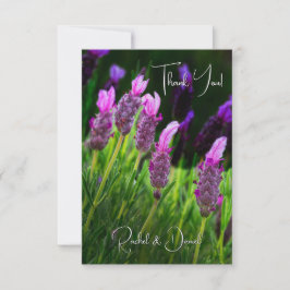 Lavender, Kärlek & Devotion, Bröllop Tack Kort