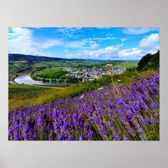 Lavender längs Moselle i Tyskland Poster (Framsidan)