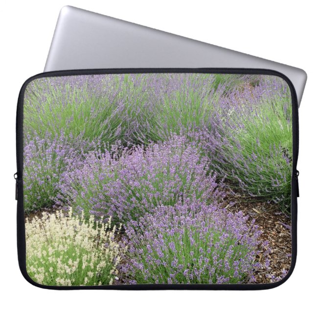 Lavender Laptop Fodral (Framsidan)