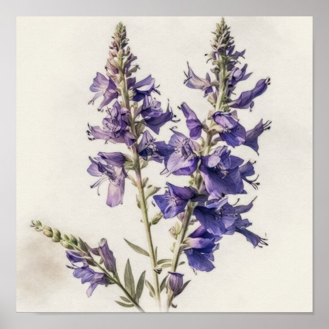 Lavender Larkspur Flower Art Print Poster (Framsidan)