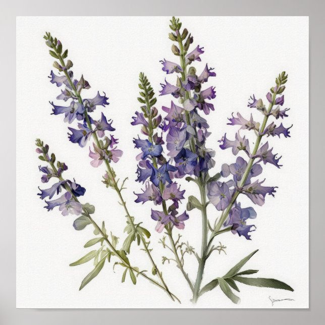 Lavender Larkspur Flower Art Print Poster (Framsidan)