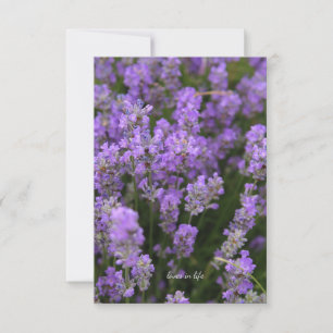 Lavender Lavender Anteckningskort