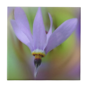 Lavender Lila Flower Nature Kakelplatta