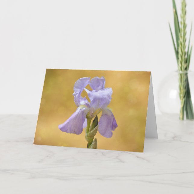 Lavender Lila Iris Flower Art Note Card Kort (Framsida)