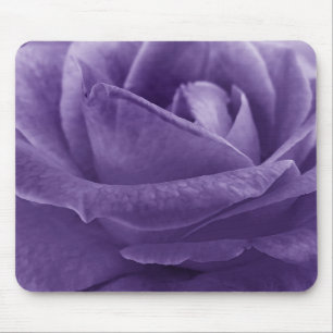 Lavender Lila Ro Macro Flower Musmatta