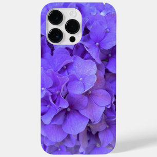 Lavender lilac lila Hydrangeas lila blommor