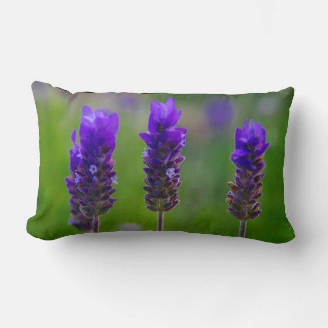 lavender lumbarkudde (Framsida)