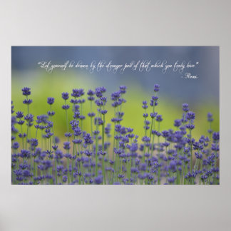 Lavender med offert poster