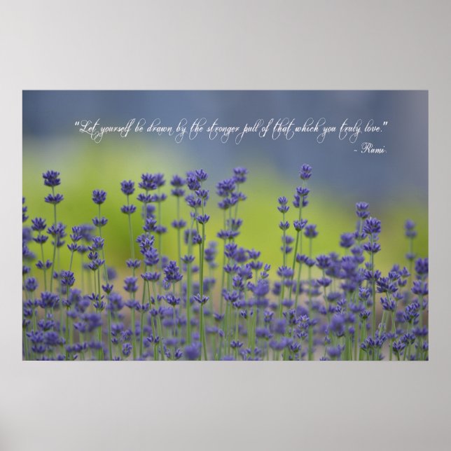 Lavender med offert poster (Framsidan)
