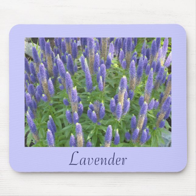 Lavender Musmatta (Framsidan)