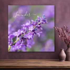 Lavender Namn Poster