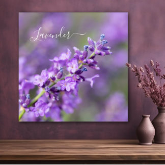 Lavender Namn Poster