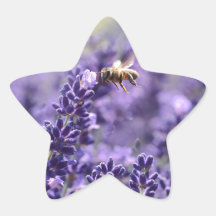 Lavender och Bees