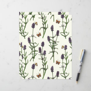 Lavender och fjärilar på benvit