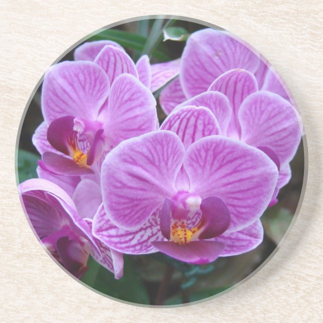 Lavender Orchid Underlägg (Framsidan)