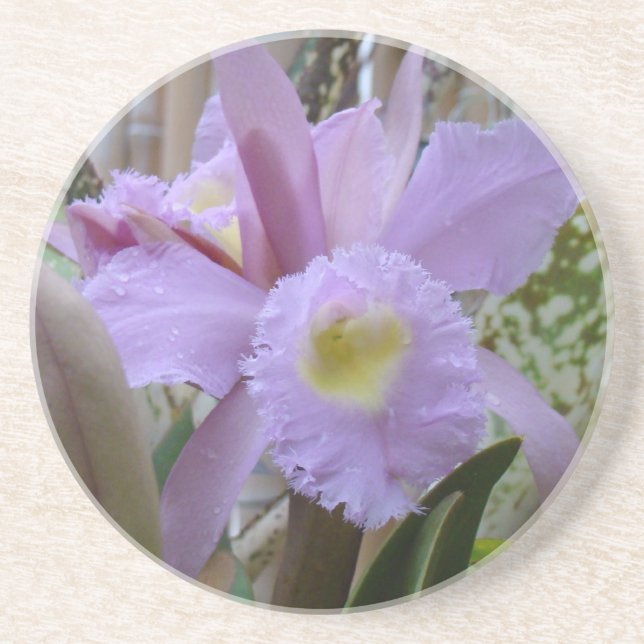Lavender Orchid Underlägg (Framsidan)