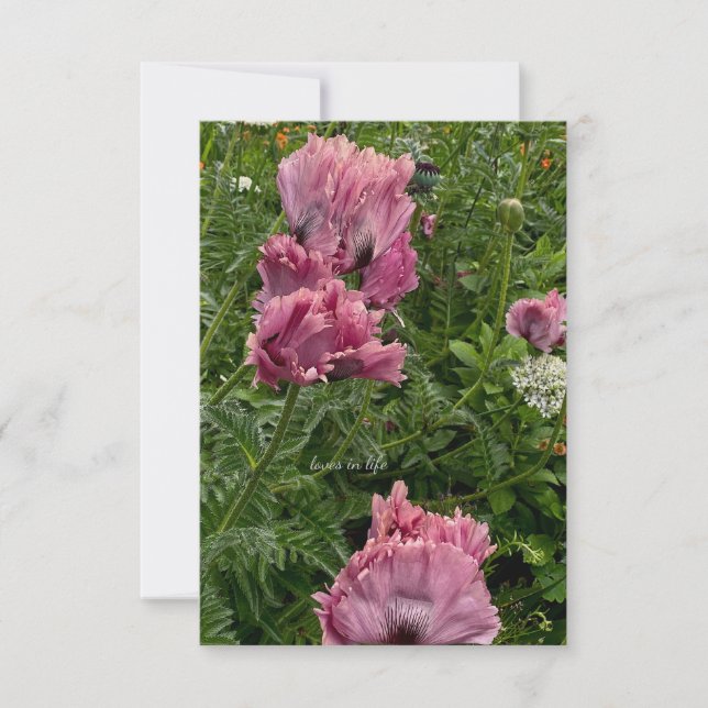 Lavender Oriental Poppies Anteckningskort (Framsida)
