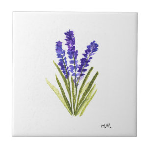 Lavender ört botaniska växter blommor lila cera kakelplatta