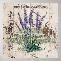 Lavender på rustik träpanel