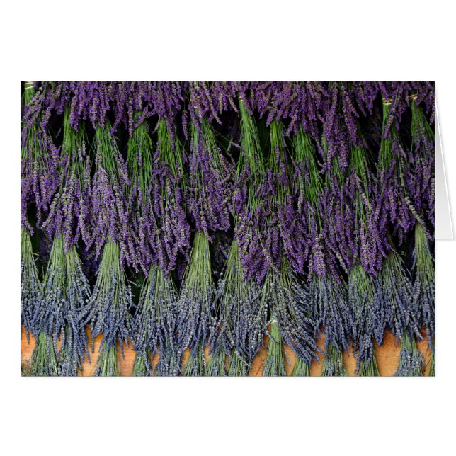 Lavender på torkracket hälsningskort (Framsidan Horizontal)