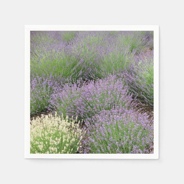 Lavender Pappersservett (Framsidan)