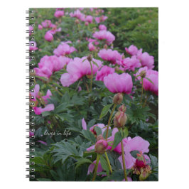 Lavender Peonies Anteckningsbok
