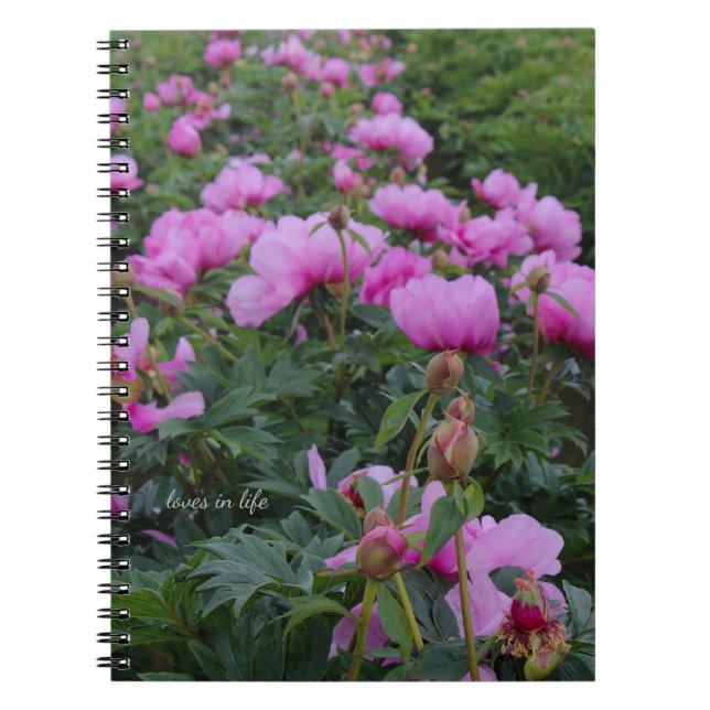 Lavender Peonies Anteckningsbok (Framsidan)