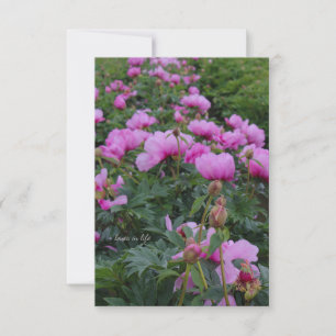 Lavender Peonies Anteckningskort